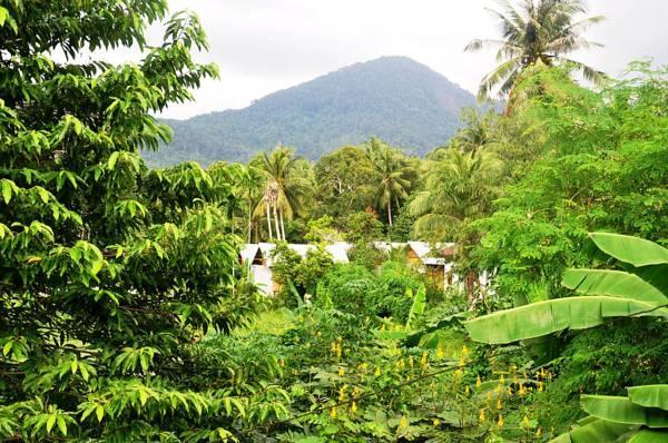 Jungle Garden Bungalows Hinkong Ngoại thất bức ảnh