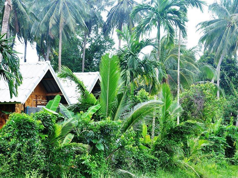 Jungle Garden Bungalows Hinkong Ngoại thất bức ảnh